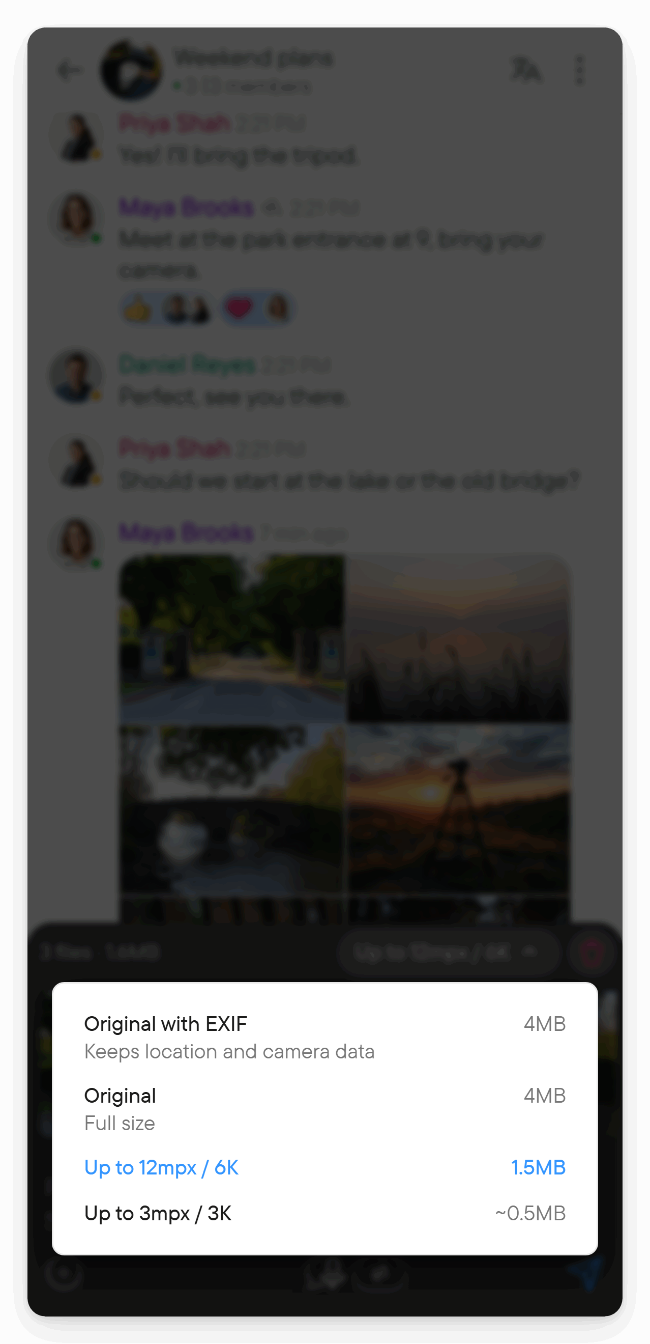 Choose how photos are sent. A menu of four photo quality options with estimated sizes, one selected.