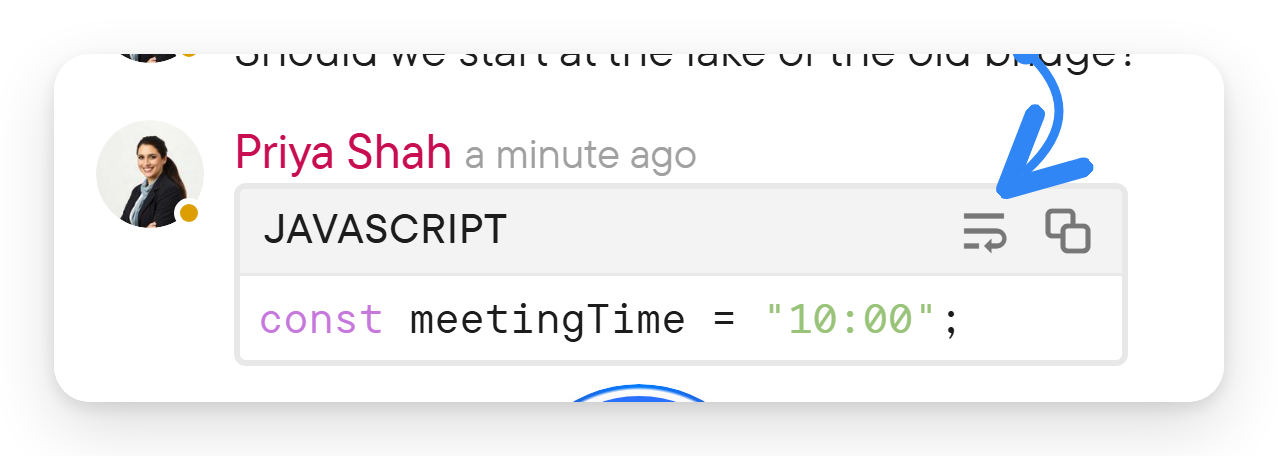 A chat message with a code block showing the language name and Wrap and Copy code controls.