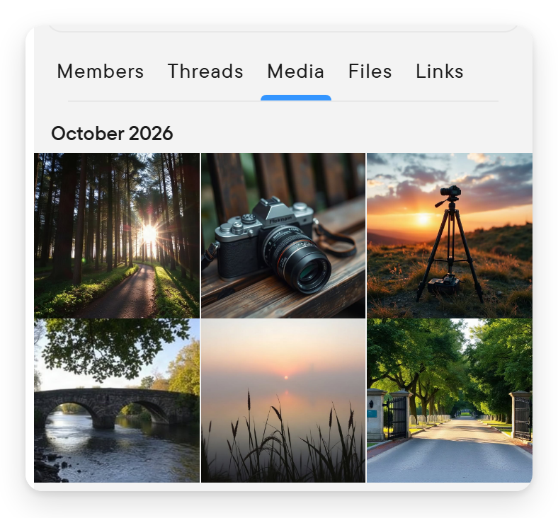 The tabs of the right panel with the Media tab selected and a grid of shared photos.