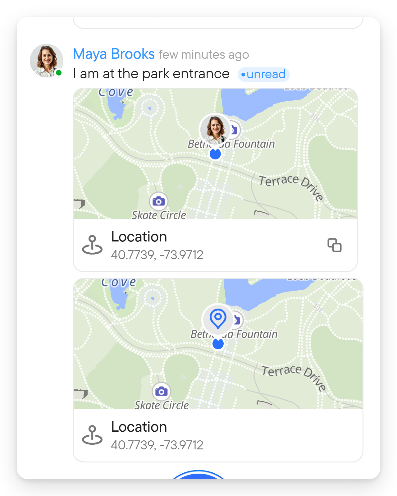 A location message in the chat with a small map and a pin.