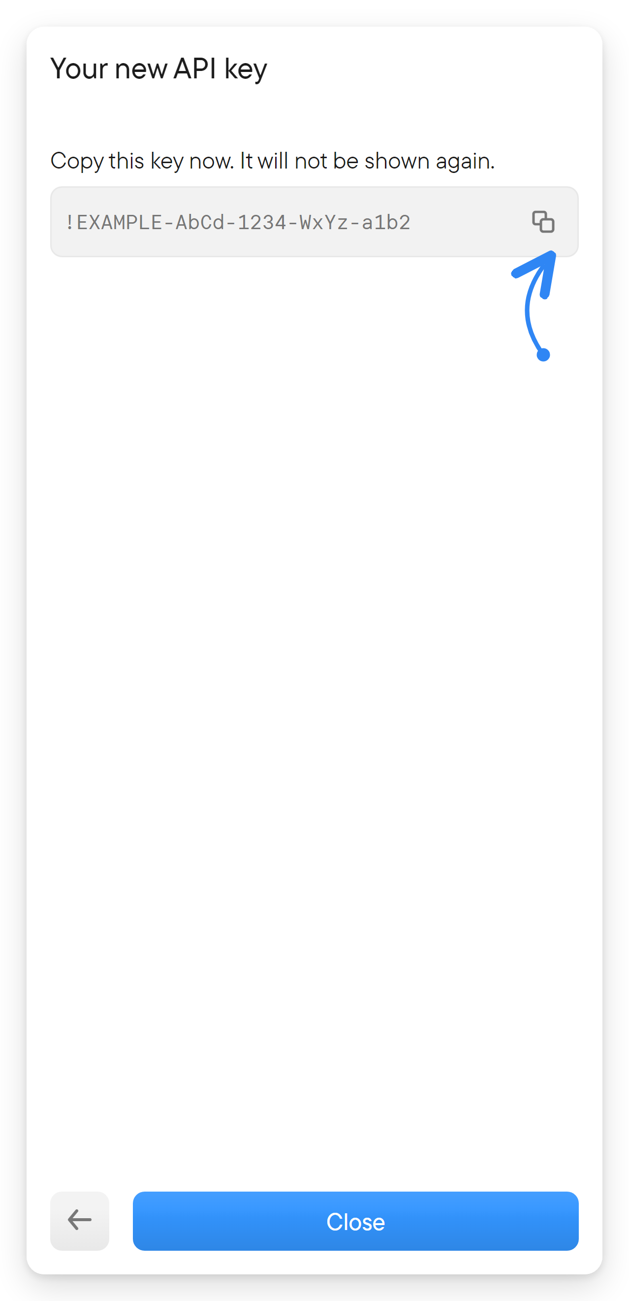 The dialog showing the new API key once, with a copy button.