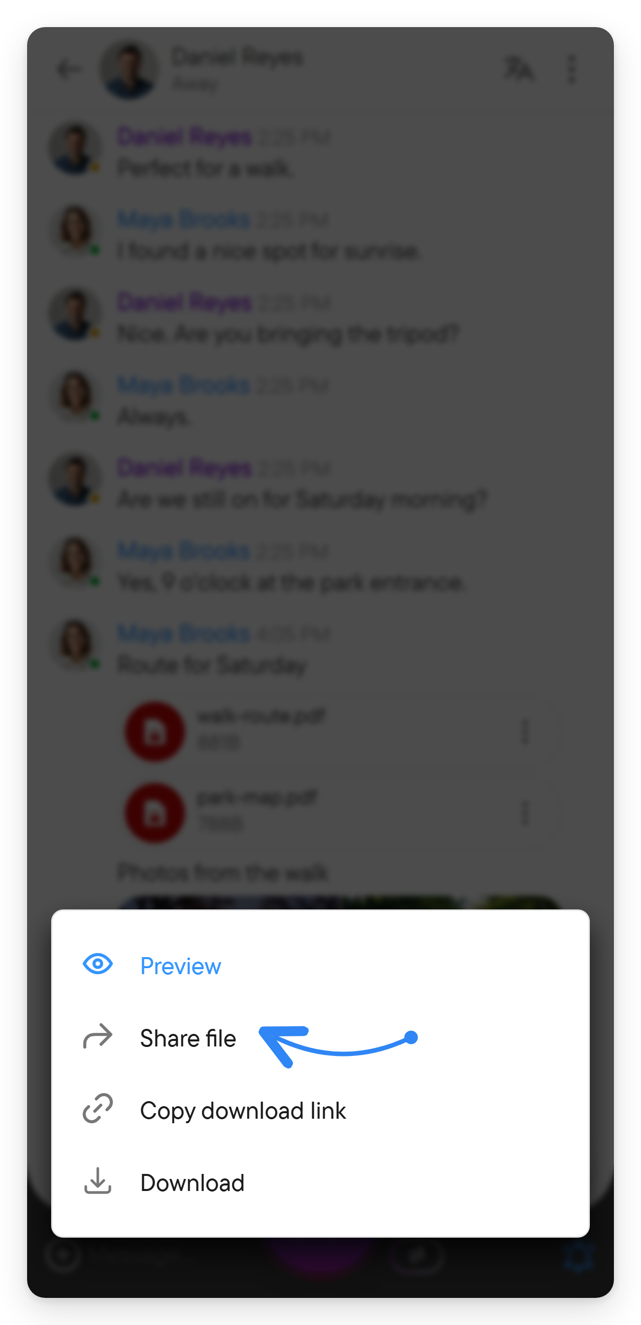 Open the menu of an attachment. The attachment menu lists Preview, Download, Share file and Copy download link.