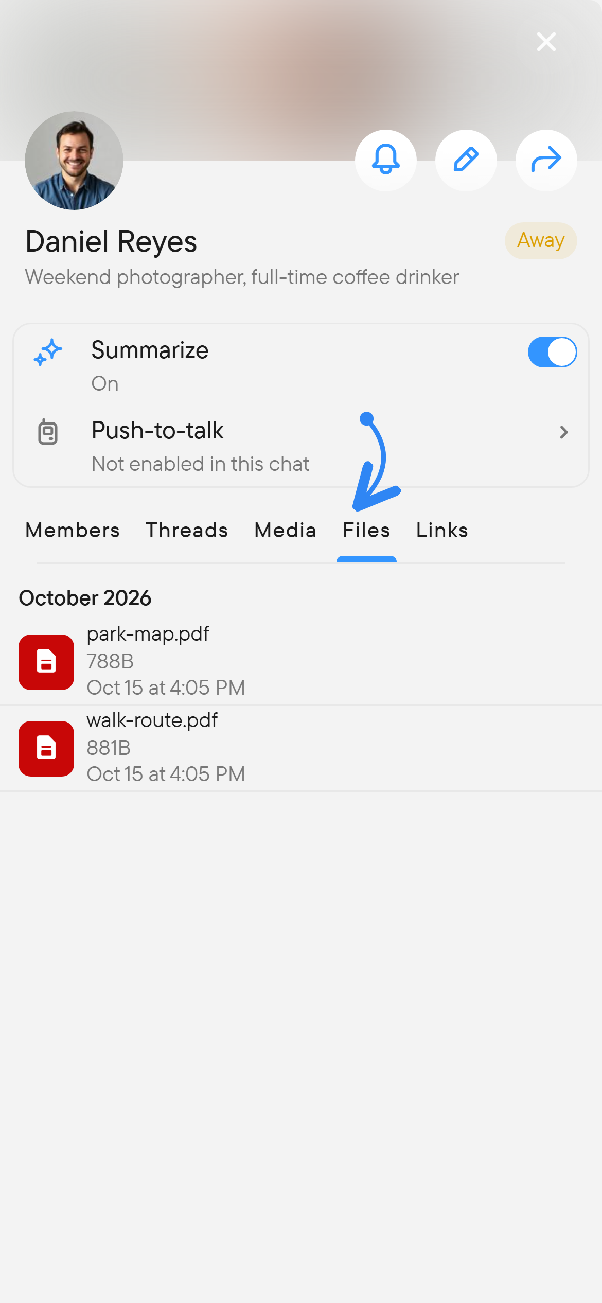 Files lists documents shared in the chat. The right panel shows the Files tab listing two shared documents.