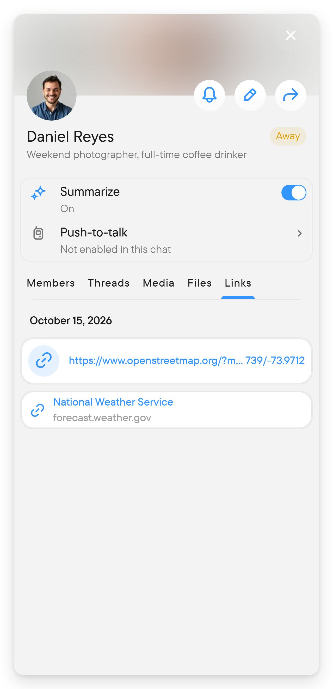 Links lists the links shared in the chat. The right panel on the Links tab, listing links shared in the chat.