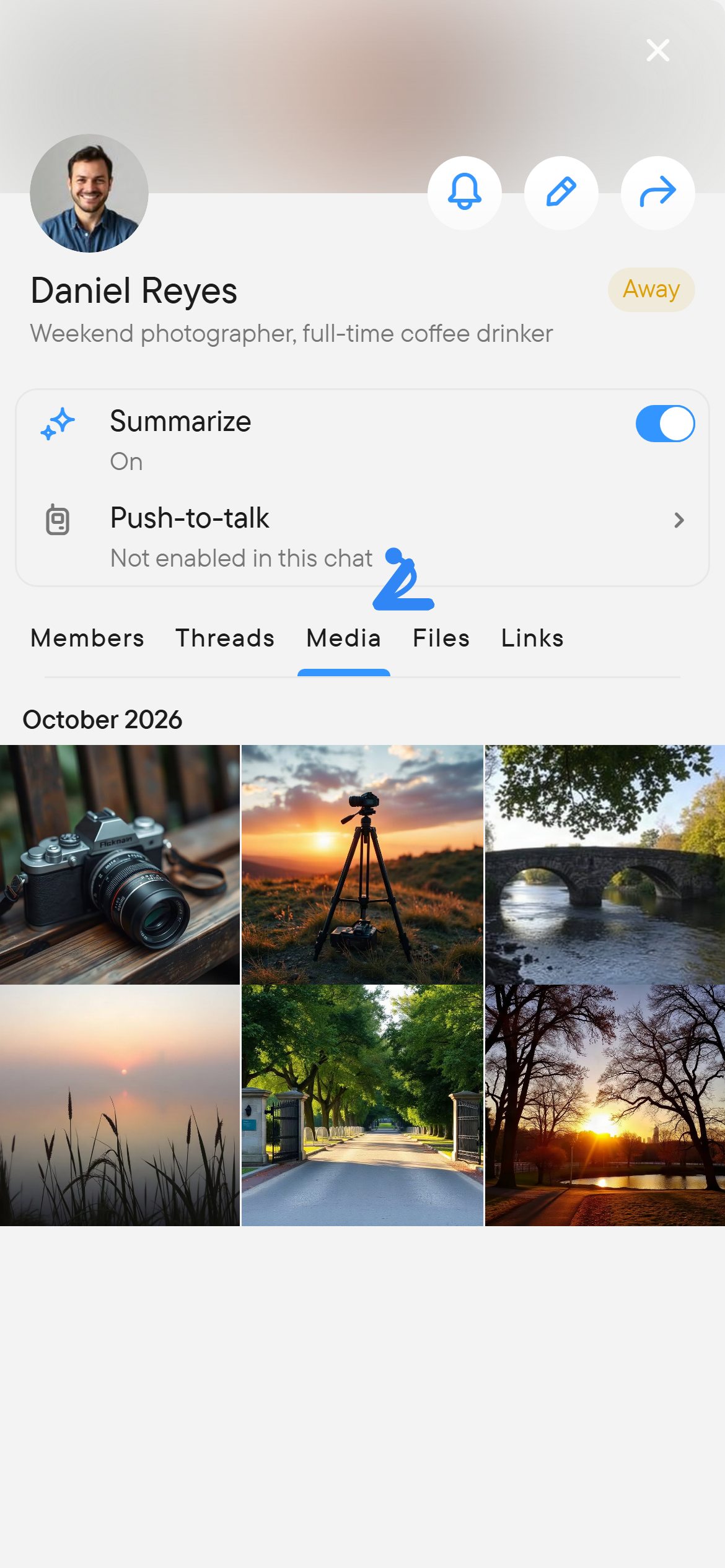 Media shows the photos and videos of a chat. The right panel shows the Media tab with a grid of photos shared in the chat.
