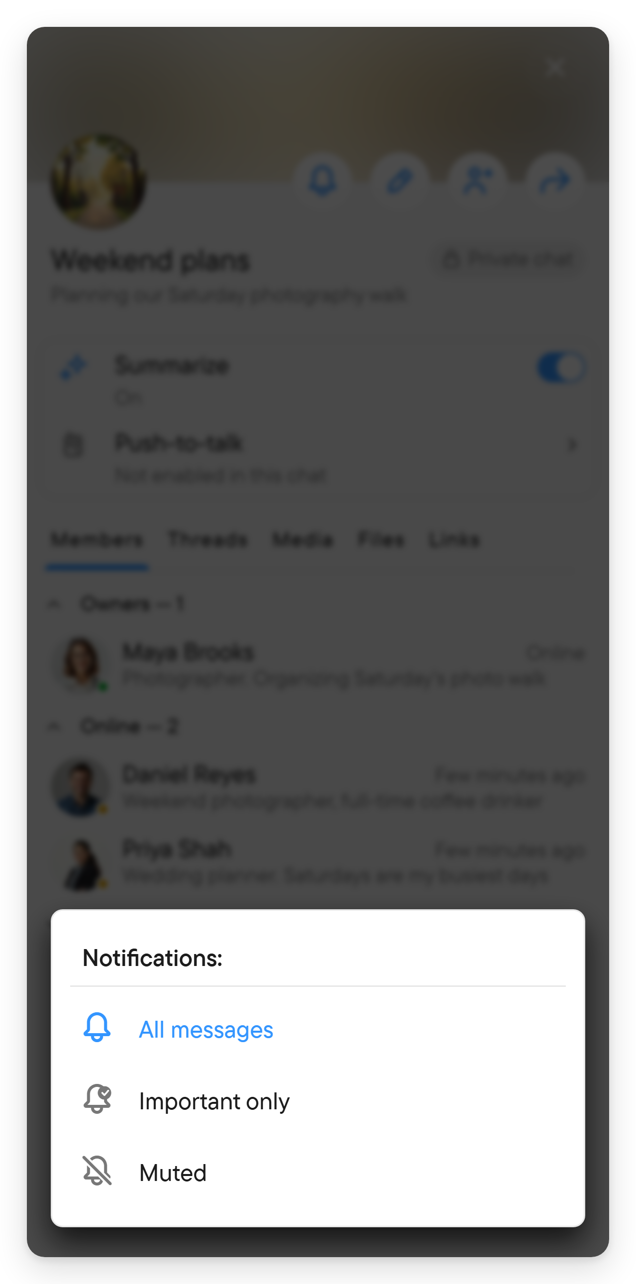 Choose how much attention a chat gets. The bell menu with the choices All messages, Important only and Muted.