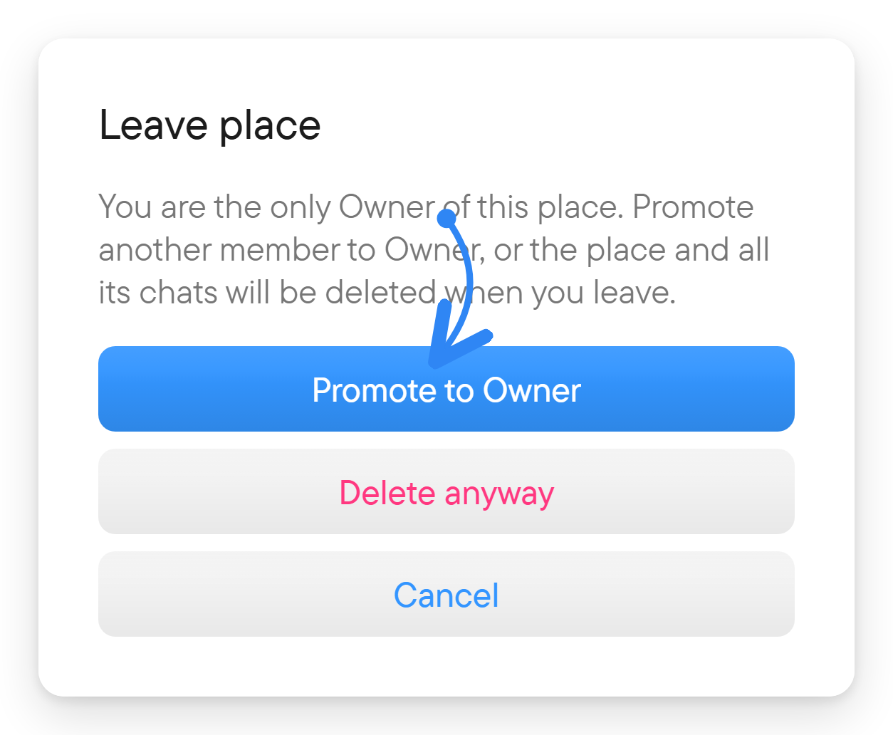 Hand the place over before leaving. The Leave place dialog for a sole owner, with Promote to Owner, Delete anyway and Cancel.