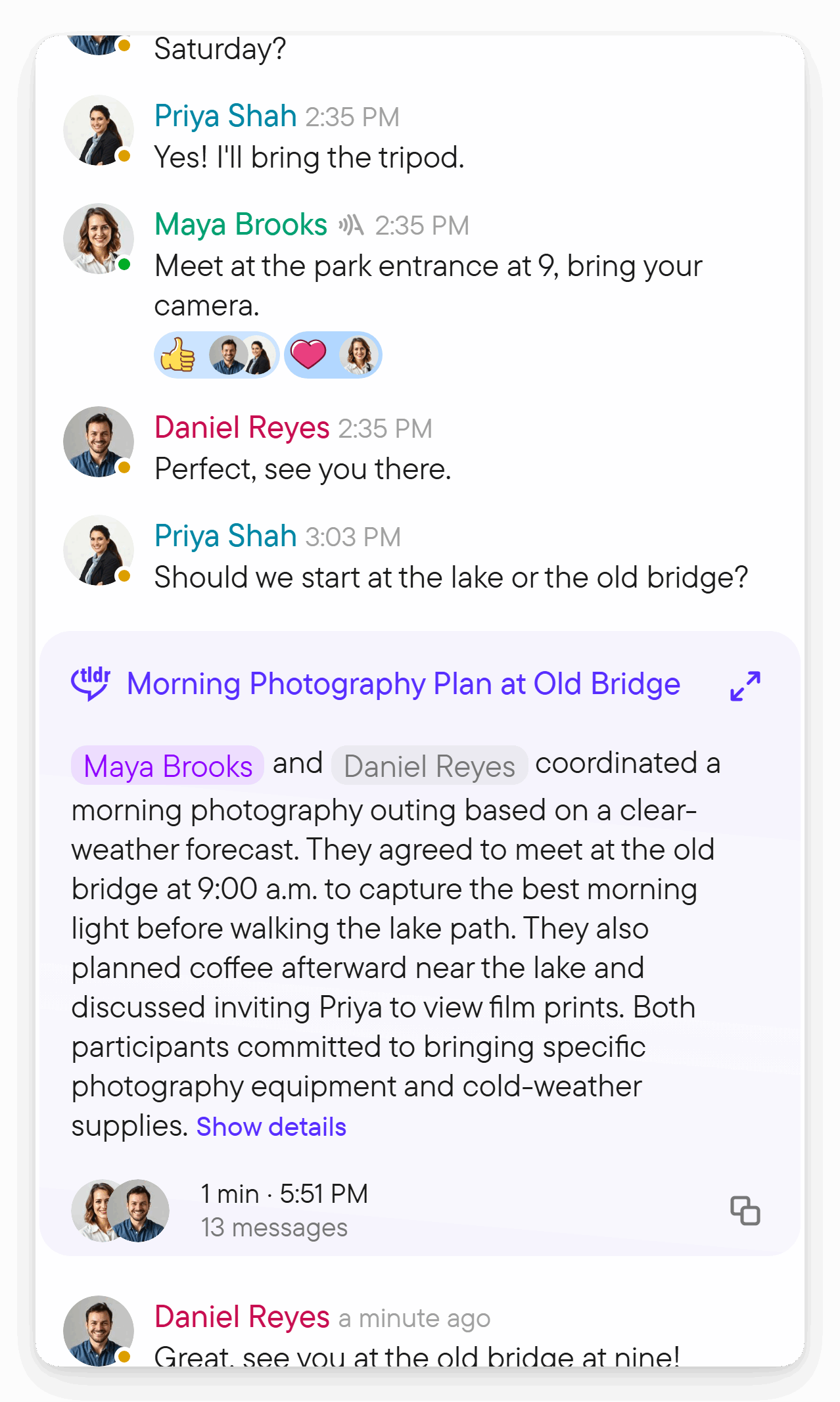 A completed conversation block with a title, a short summary and an expand control between two text messages.