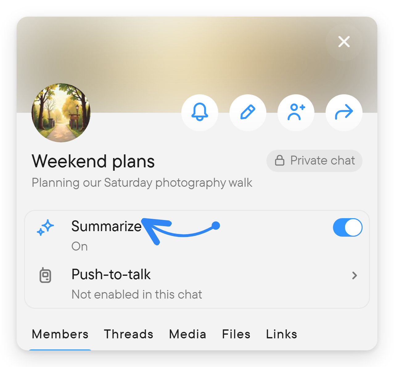 The chat details with the Summarize switch turned on.