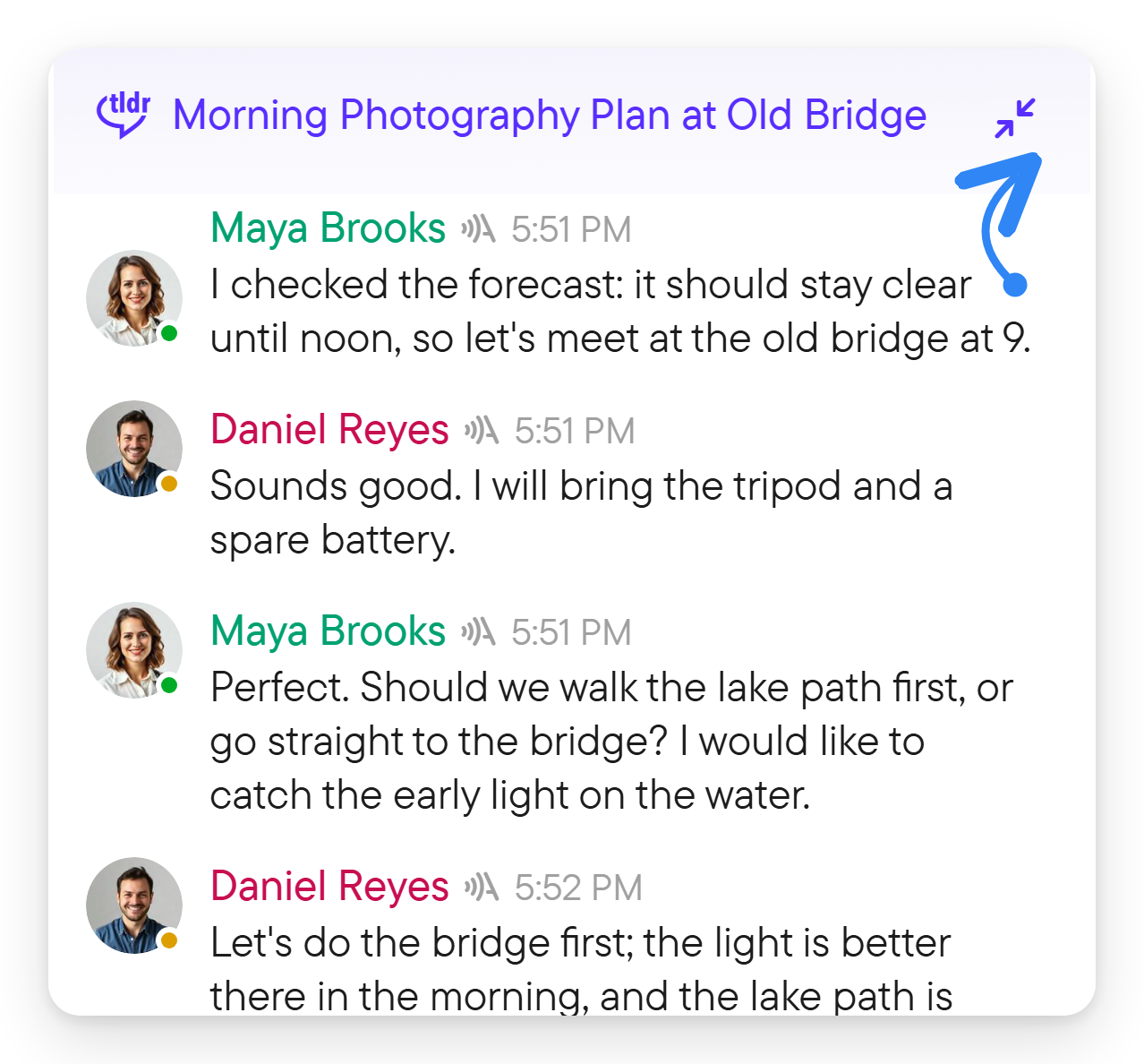 An expanded conversation block showing the summary above the individual spoken messages.