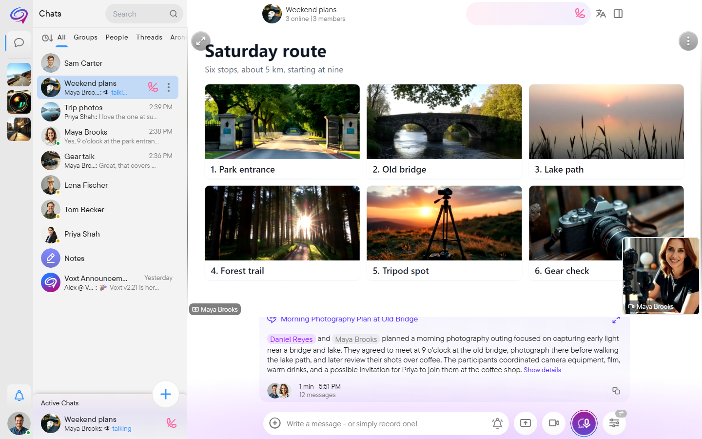 A call in which a shared photo gallery page fills the video area and the sharer's camera is a small tile in the corner.